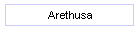 Arethusa