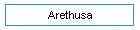 Arethusa