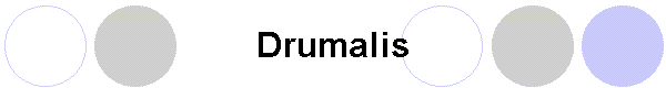 Drumalis