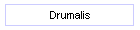 Drumalis