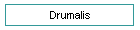 Drumalis